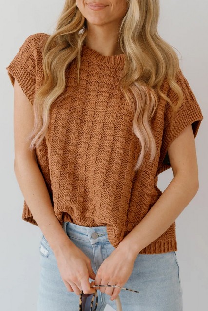 Camel Round Neck Textured Knit Sweater Vest LC276604-P1016