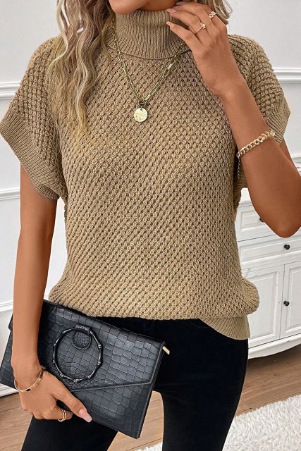 Pale Khaki Turtleneck Textured Short Sleeve Sweater LC2724435-P5016
